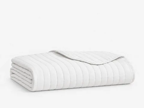 Bedspreads & Coverlets — white-background program visual